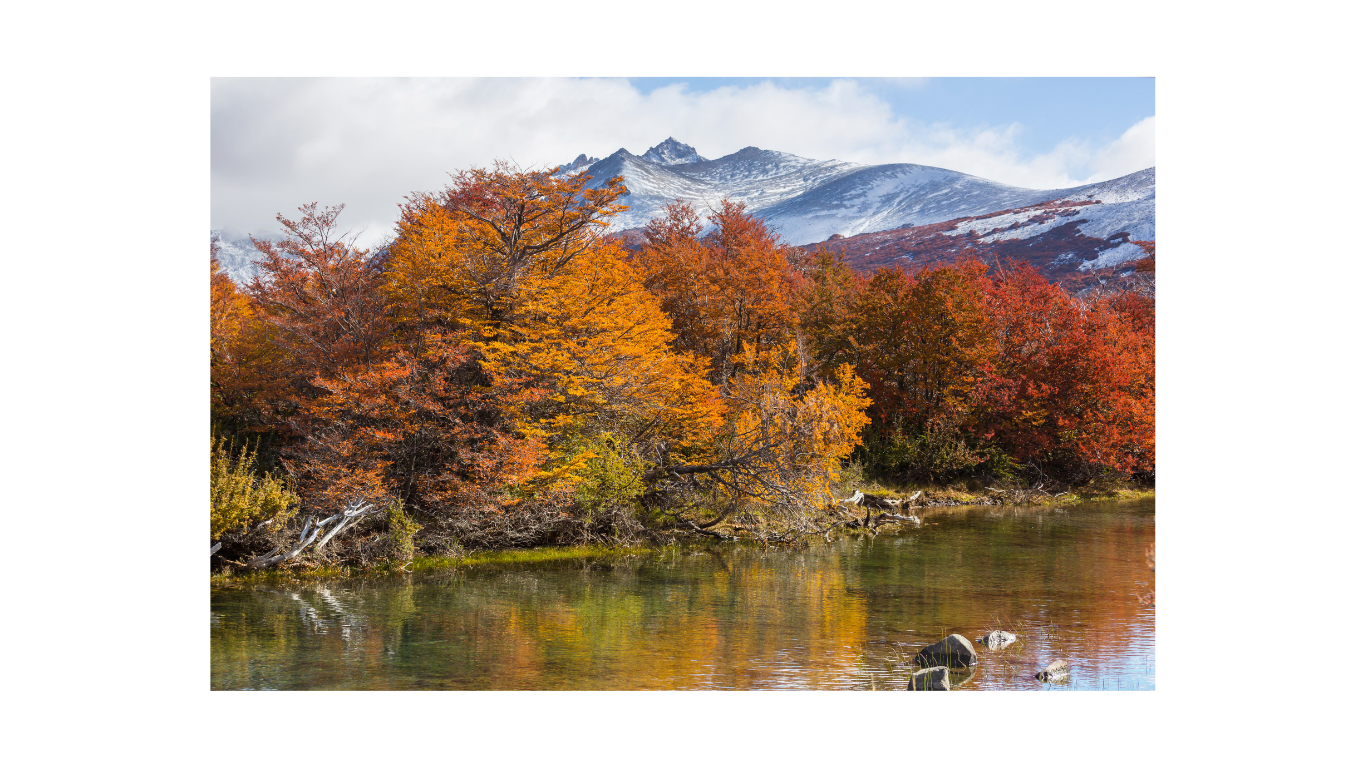 Picture of mountains with autumn leaves